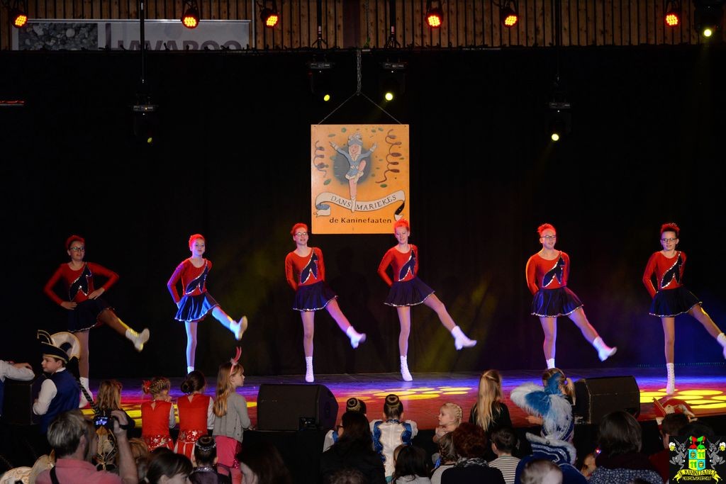 ../Images/Dansmarieke festival 2018 124.jpg